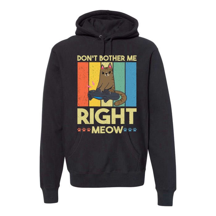 DonT Bother Me Right Meow Funny Video Gamer And Cat Lover Premium Hoodie