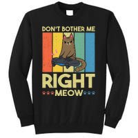 DonT Bother Me Right Meow Funny Video Gamer And Cat Lover Tall Sweatshirt