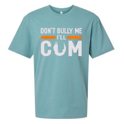 DonT Bully Me ILl Come Dont Bully Me Ill Come Sueded Cloud Jersey T-Shirt