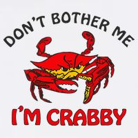 DonT Bother Me IM Crabby Funny Apparel USA-Made Doggie Bandana