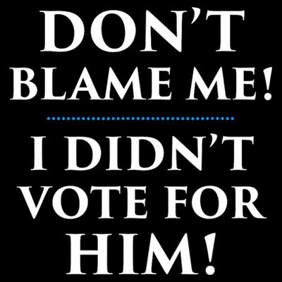 Don't Blame Me I Didn't Vote For Him T-Shirt