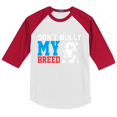 DonT Bully My Breed Dog Lover Kids Colorblock Raglan Jersey