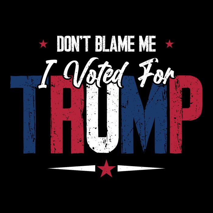 DonT Blame Me I Voted For Trump Slogan Flatbill Hat