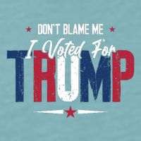 DonT Blame Me I Voted For Trump Slogan Sueded Cloud Jersey T-Shirt