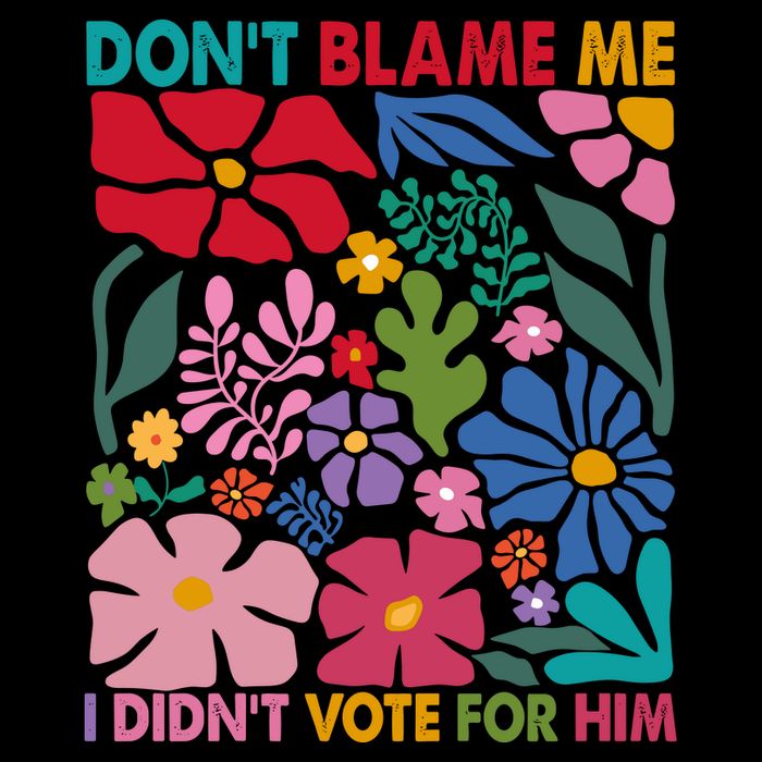 DonT Blame Me I DidnT Vote For Him Flat Bill Trucker Hat