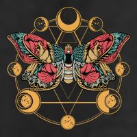 Death Butterfly Moth Moon Phases Gothic Esoteric Blackcraft Adult Drive Performance Visor