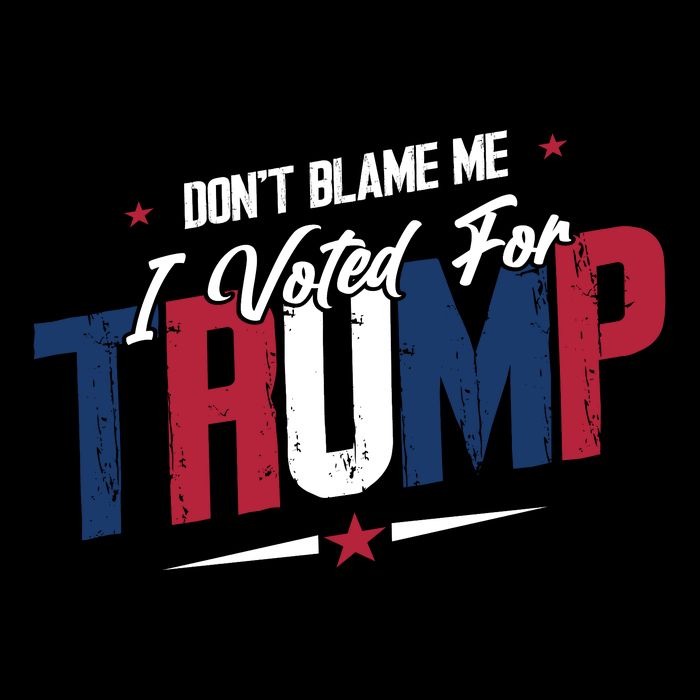 DonT Blame Me I Voted For Trump Graphic T-Shirt