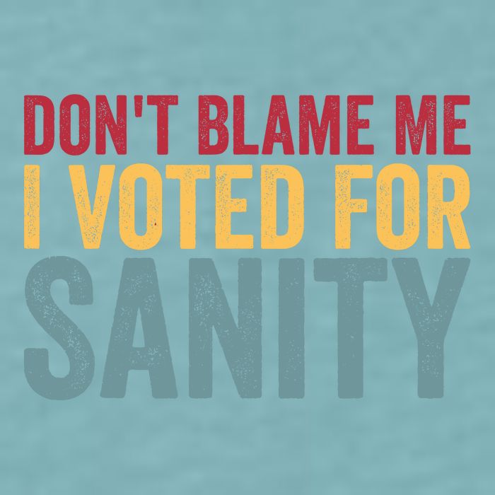 Dont Blame Me I Voted For Sanity Sueded Cloud Jersey T-Shirt