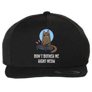 DonT Bother Me Right Meow Funny Video Gamer And Cat Lover Cool Gift Wool Snapback Cap