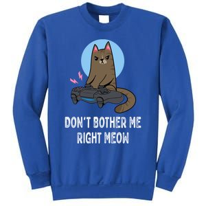 DonT Bother Me Right Meow Funny Video Gamer And Cat Lover Cool Gift Sweatshirt