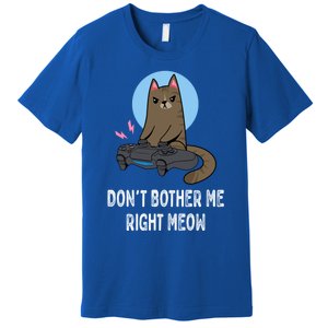 DonT Bother Me Right Meow Funny Video Gamer And Cat Lover Cool Gift Premium T-Shirt