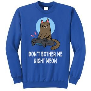 DonT Bother Me Right Meow Funny Video Gamer And Cat Lover Cool Gift Tall Sweatshirt