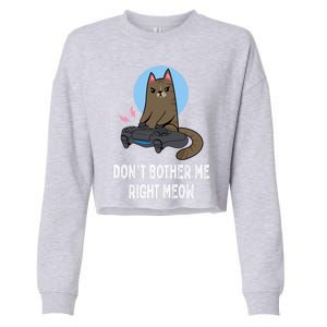 DonT Bother Me Right Meow Funny Video Gamer And Cat Lover Cool Gift Cropped Pullover Crew