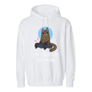 DonT Bother Me Right Meow Funny Video Gamer And Cat Lover Cool Gift Garment-Dyed Fleece Hoodie