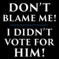 DonT Blame Me I DidnT Vote For Him Flat Bill Trucker Hat