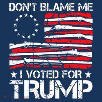 Dont Blame Me I Voted For Trump Gun Rights T-Shirt