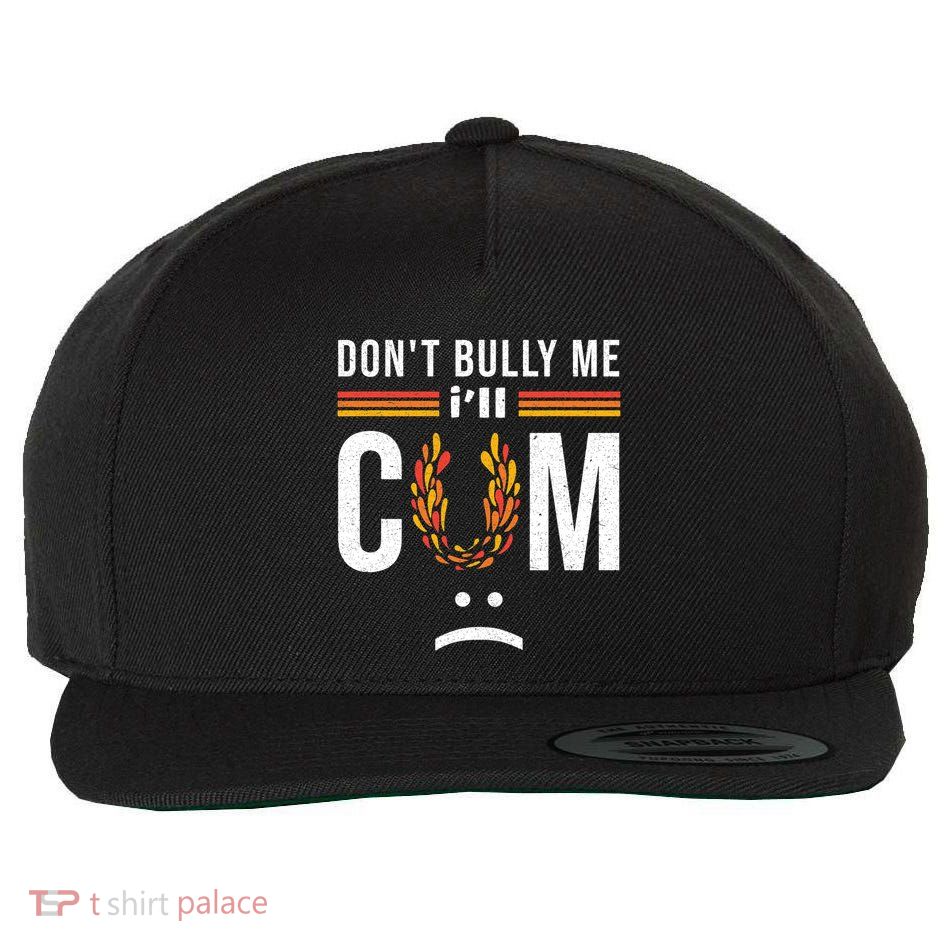 Dont Bully Me It Turns Me On Wool Snapback Cap