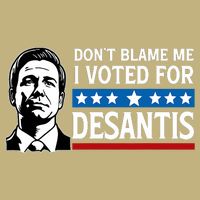 Don't Blame Me I Voted For Desantis  Button