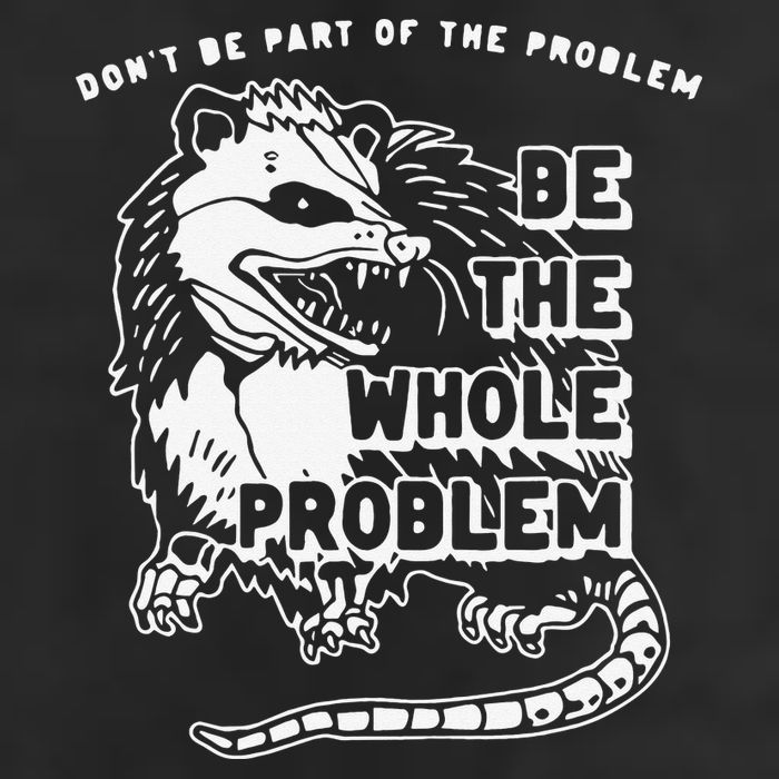 Don't Be Part Of the Problem Be The Whole Problem Funny Gym Beanie