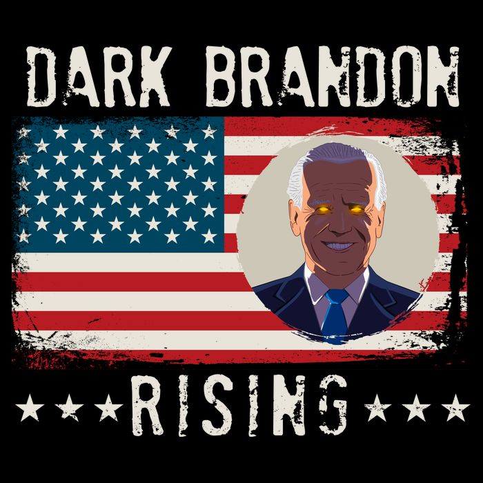Dark Brandon Rising Anti Joe Biden Distressed USA American Flag City Backpack