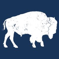 Distressed Buffalo Retro Bison Animal Lover Men Women Dad Performance Shirt