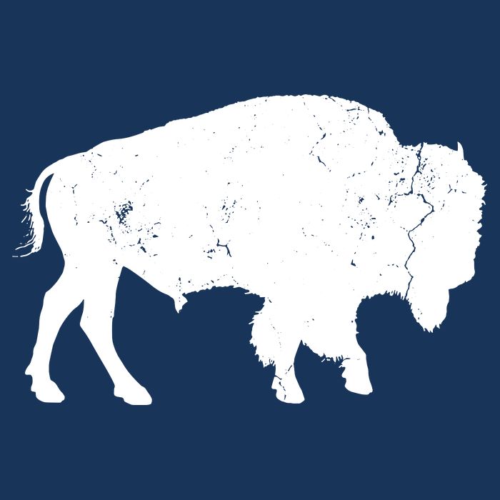 Distressed Buffalo Retro Bison Animal Lover Men Women Dad Flatbill Hat