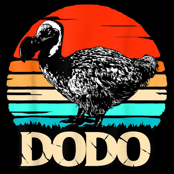 Dodo Bird Retro Sunset 70s & 80s Women And Men Flat Bill Trucker Hat