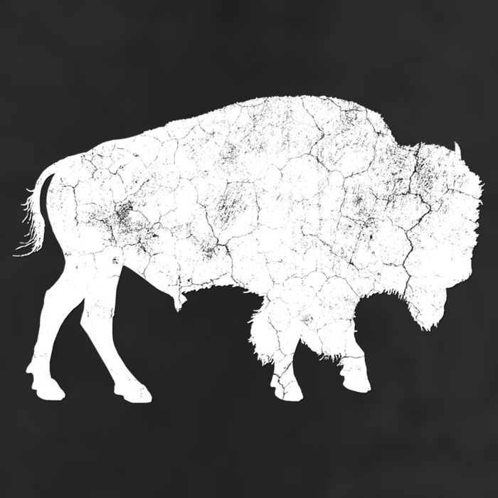 Distressed Buffalo Retro Bison Animal Lover Adult Drive Performance Visor