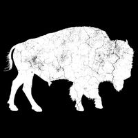 Distressed Buffalo Retro Bison Animal Lover Premium T-Shirt