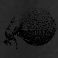 Dung Beetle Rolling Dung Ball African Wildlife Beanie