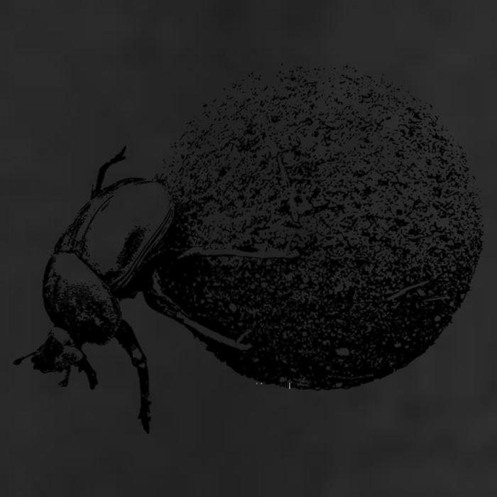 Dung Beetle Rolling Dung Ball African Wildlife Beanie