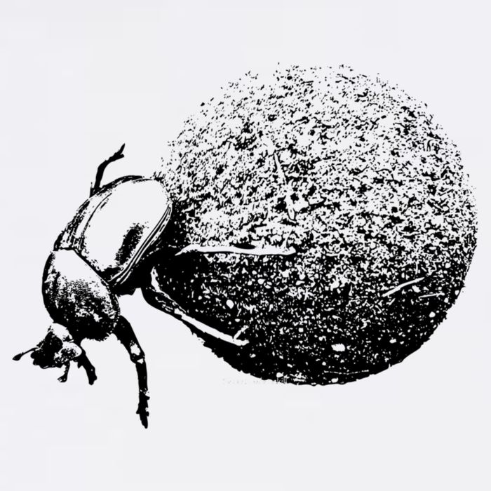 Dung Beetle Rolling Dung Ball African Wildlife Garment-Dyed Sweatshirt