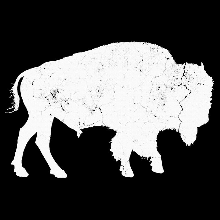 Distressed Buffalo Retro Bison Animal Lover Drawstring Bag