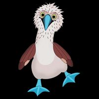 Dancing Booby Sea Bird Footed Blue Feet Drawing Impact Tech Backpack