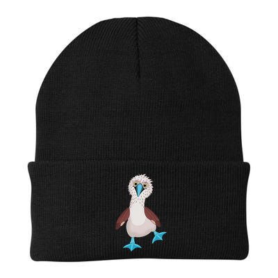 Dancing Booby Sea Bird Footed Blue Feet Drawing Beanie