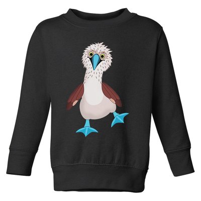 Dancing Booby Sea Bird Footed Blue Feet Drawing Toddler Sweatshirt