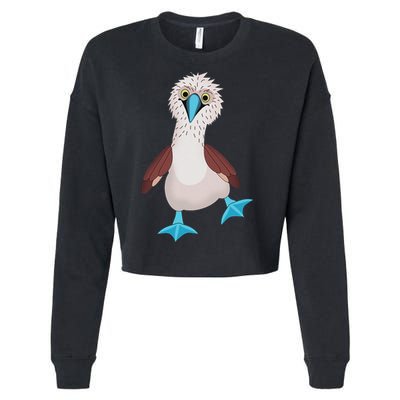 Dancing Booby Sea Bird Footed Blue Feet Drawing Cropped Pullover Crew