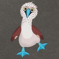 Dancing Booby Sea Bird Footed Blue Feet Drawing Cotton Canvas Backpack