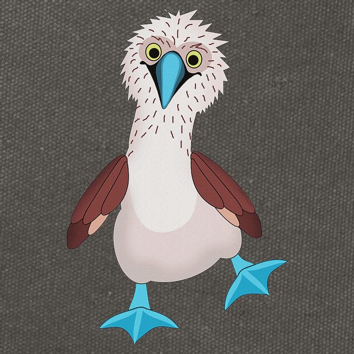 Dancing Booby Sea Bird Footed Blue Feet Drawing Cotton Canvas Backpack