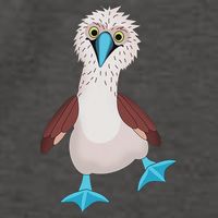 Dancing Booby Sea Bird Footed Blue Feet Drawing Vector Backpack