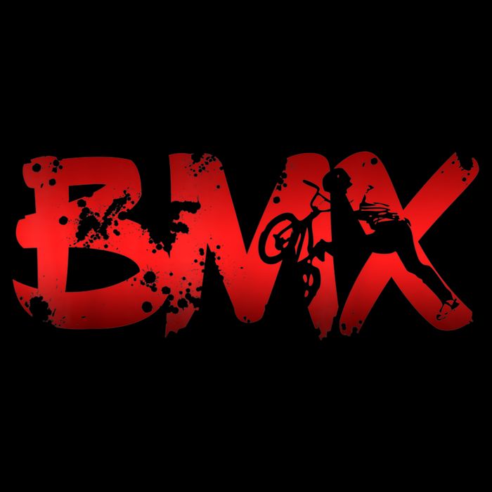 Distressed BMX Shirt For Men Women Kids & Bike Riders TShirt Kids Hoodie