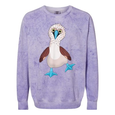 Dancing Booby Sea Bird Footed Blue Feet Drawing Colorblast Crewneck Sweatshirt