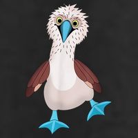 Dancing Booby Sea Bird Footed Blue Feet Drawing Adult Drive Performance Visor