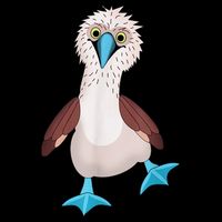 Dancing Booby Sea Bird Footed Blue Feet Drawing Baby Bodysuit