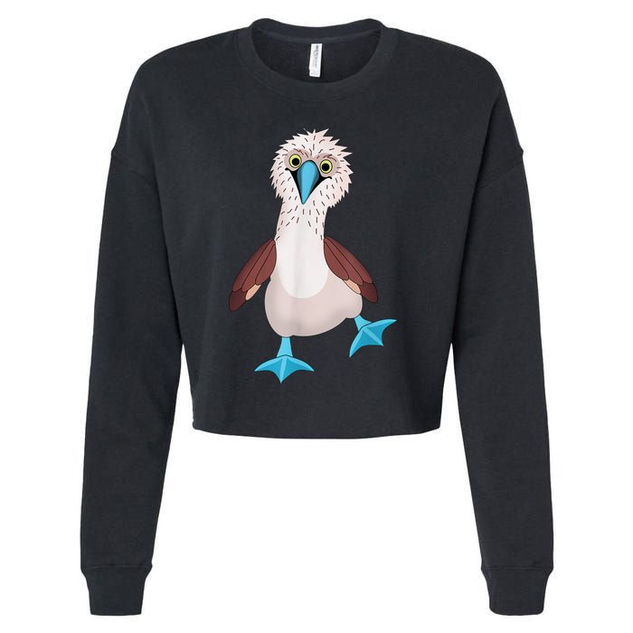 Dancing Booby Sea Bird Footed Blue Feet Drawing Cropped Pullover Crew