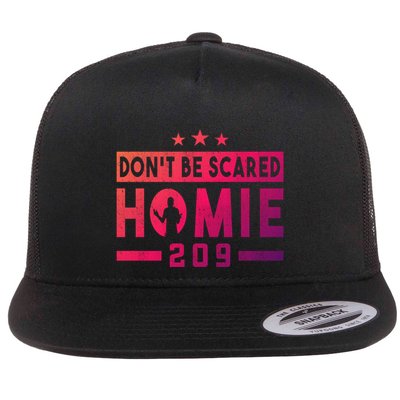 DonT Be Scared Homie 209 Stockton Mma Mixed Martial Arts Gift Flatbill Hat