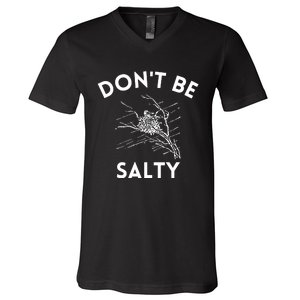 Don't Be Salty Funny Sarcastic V-Neck T-Shirt