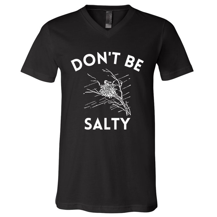 Don't Be Salty Funny Sarcastic V-Neck T-Shirt