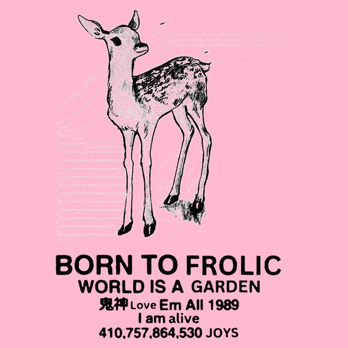 Deer Born To Frolic World Is A Garden Love Em All 1989 Visor