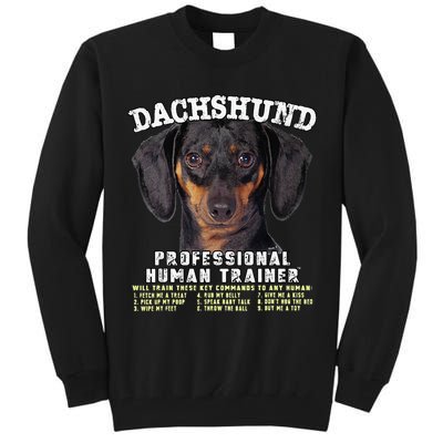 Dachshund Black Tan Professional Human Trainer Cute Dog Tall Sweatshirt